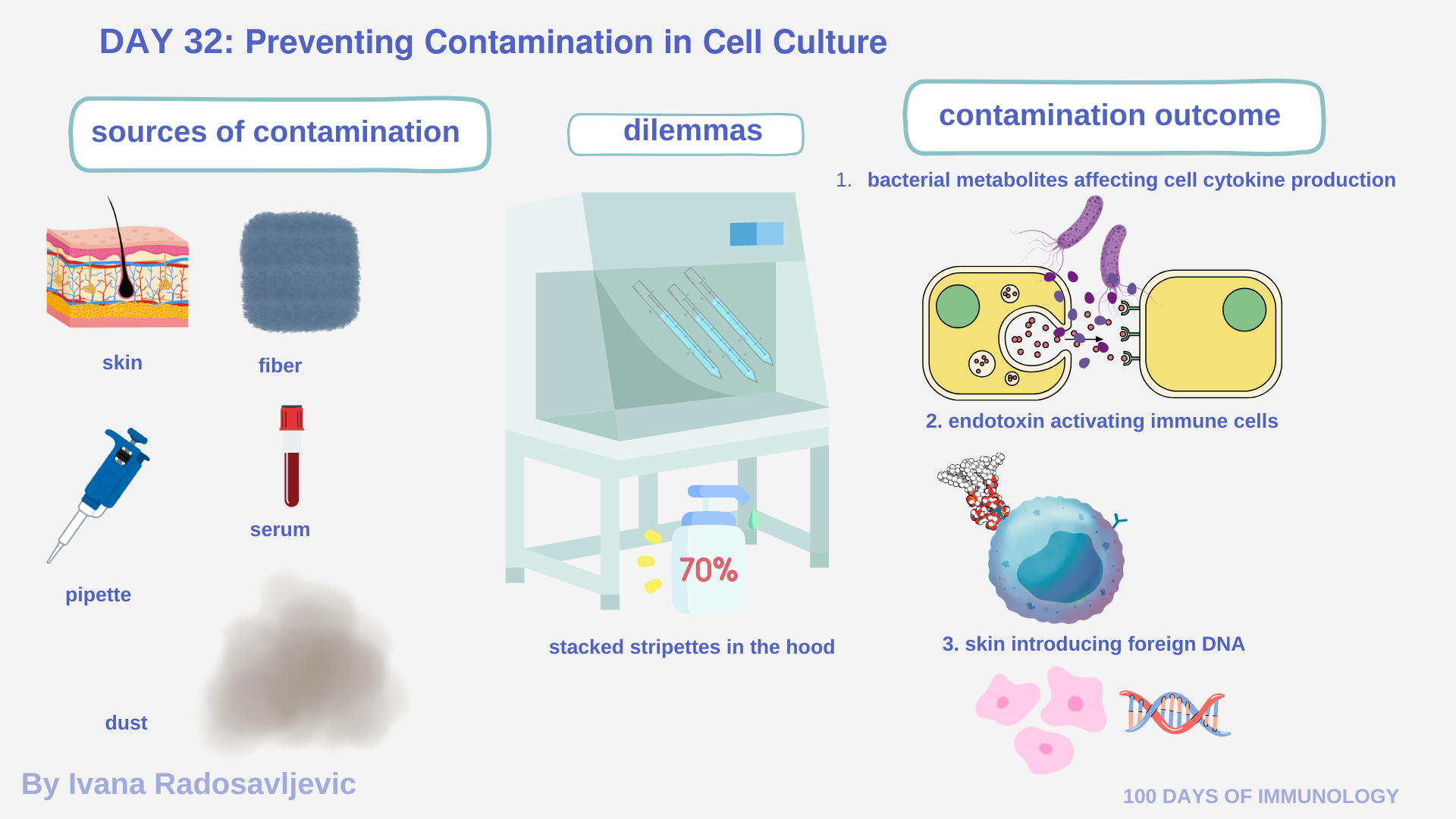 Preventing Contamination In Cell Culture, Day 32 – Ivana Radosavljević ...